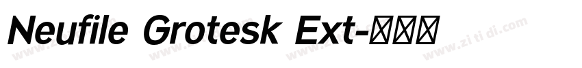 Neufile Grotesk Ext字体转换